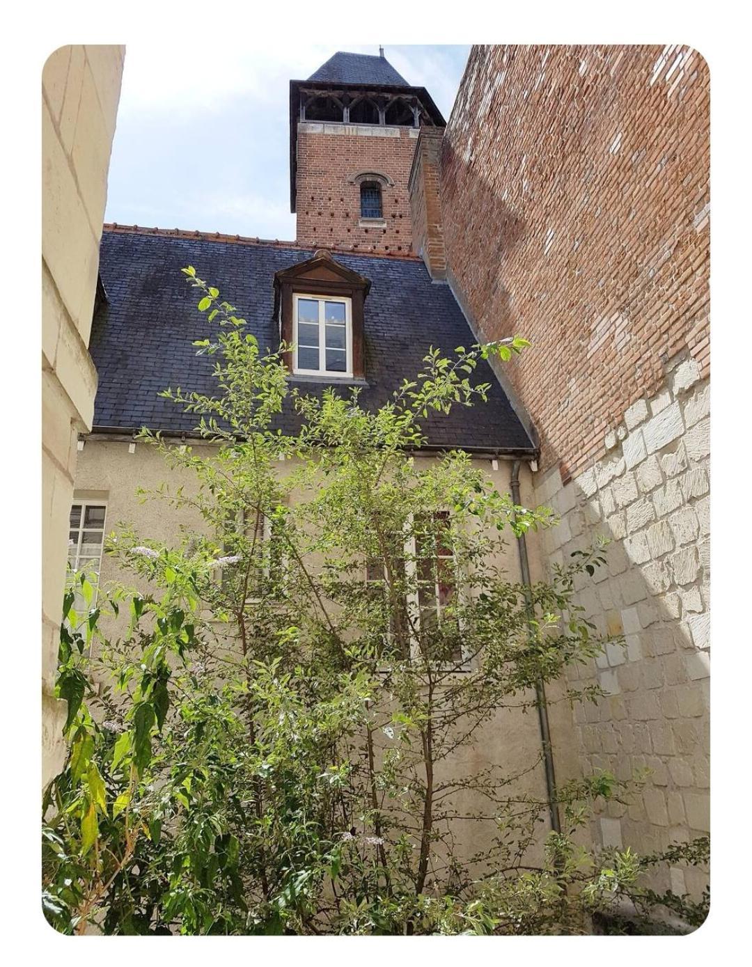 Appartamento Havre de paix avec extérieur au coeur du vieux Tours Esterno foto